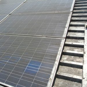 Bild - ASE Mark Günther - Photovoltaik - Dach - Verschmutzung